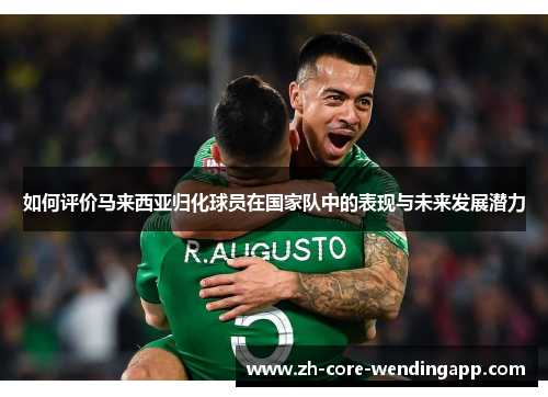 如何评价马来西亚归化球员在国家队中的表现与未来发展潜力