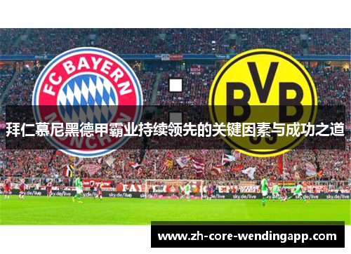 拜仁慕尼黑德甲霸业持续领先的关键因素与成功之道