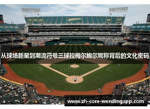 从球场新星到潮流符号三球拉梅尔鲍尔昵称背后的文化密码