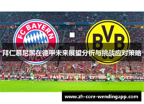 拜仁慕尼黑在德甲未来展望分析与挑战应对策略