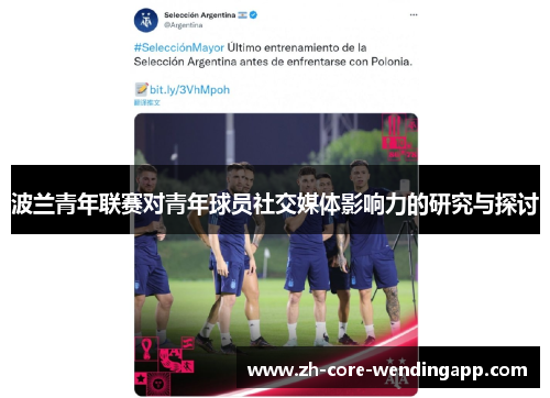 波兰青年联赛对青年球员社交媒体影响力的研究与探讨