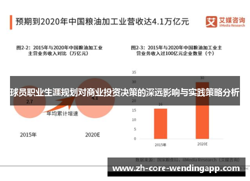 球员职业生涯规划对商业投资决策的深远影响与实践策略分析