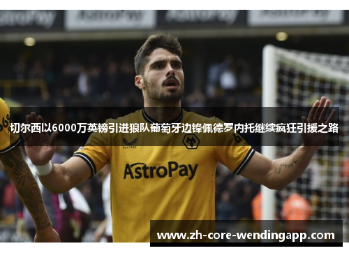 切尔西以6000万英镑引进狼队葡萄牙边锋佩德罗内托继续疯狂引援之路